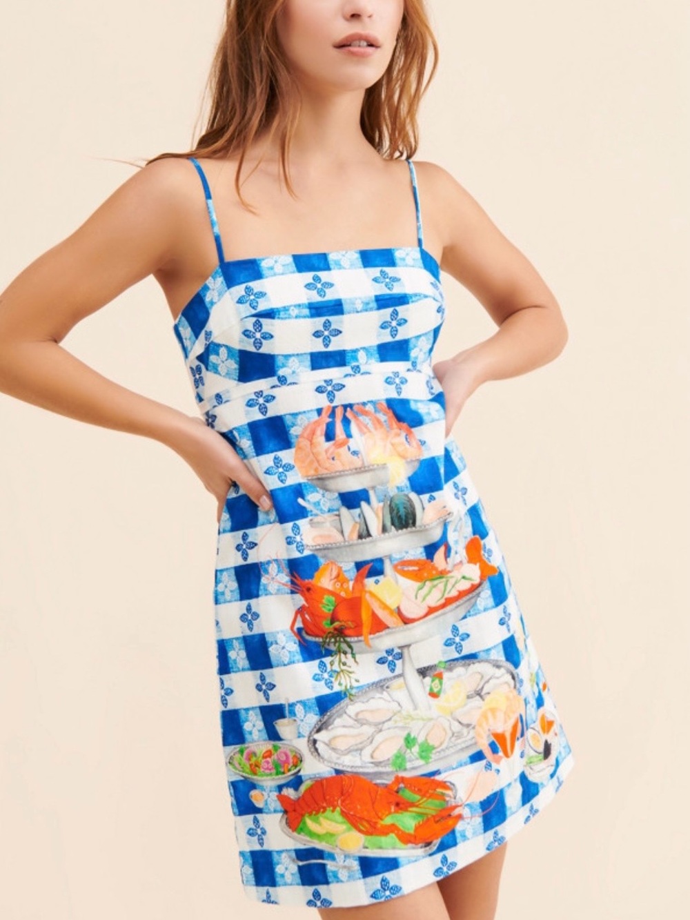 Rachel Antonoff Gwen Blue and White Check Spaghetti-Strap Seafood Print Dress